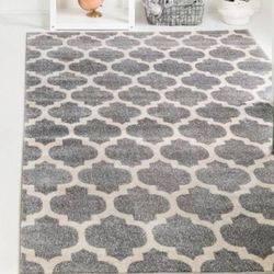 10x 10 Area Rug 