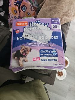 Dog Pads Regular Size