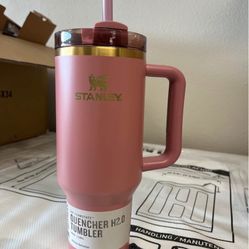 Stanley |Christmas Gift 🎁 🎄