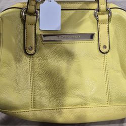 Tignanello purse $10