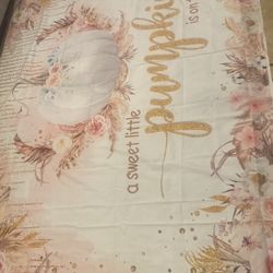 Fall Baby Shower Backdrop