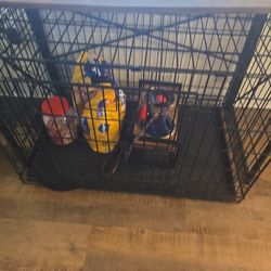 Dog Kennel 