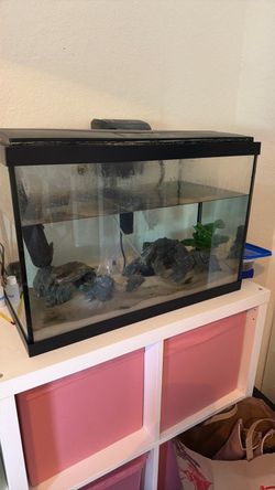 Glass Fish Tank Aquarium with Black Frame