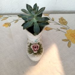 White Bisque/Porcelain Boot With Rose On Front Decorated With Succulents. Dated 1975. 