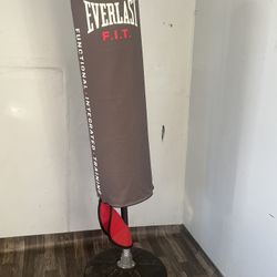 Everlast Air Punching Bag
