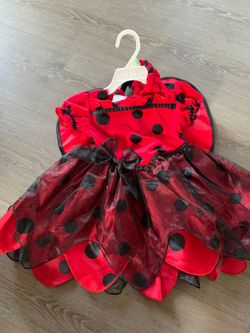 Lady bug custome