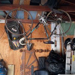 Trek 1100 Bike 