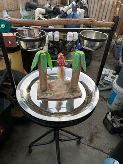 Parrot stand