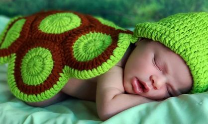 Newborn Turtle