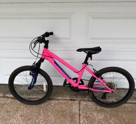 Nishiki girls kids bike