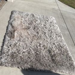 Area Rug