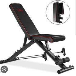 Adjustable Bench And Barbell Gym Equipment