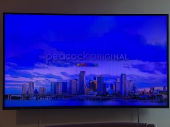 55” Insignia LED TV – Works Great – $75