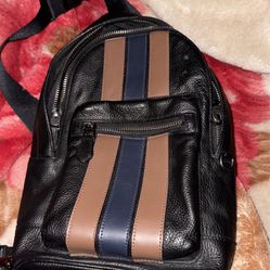 pebble leather coach bag