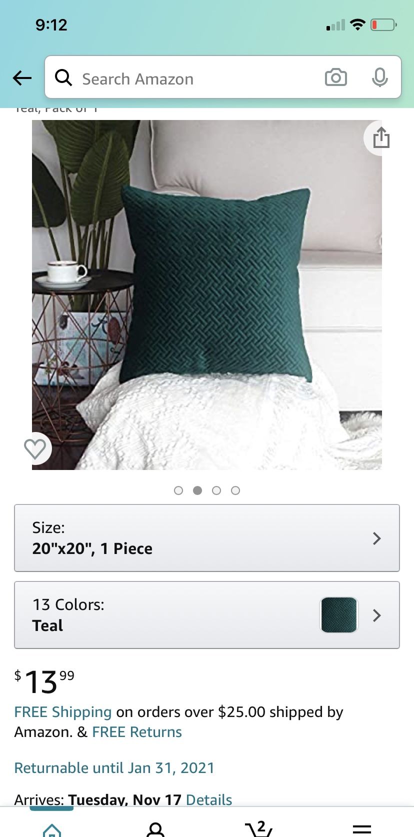2 pillow cases 20x20