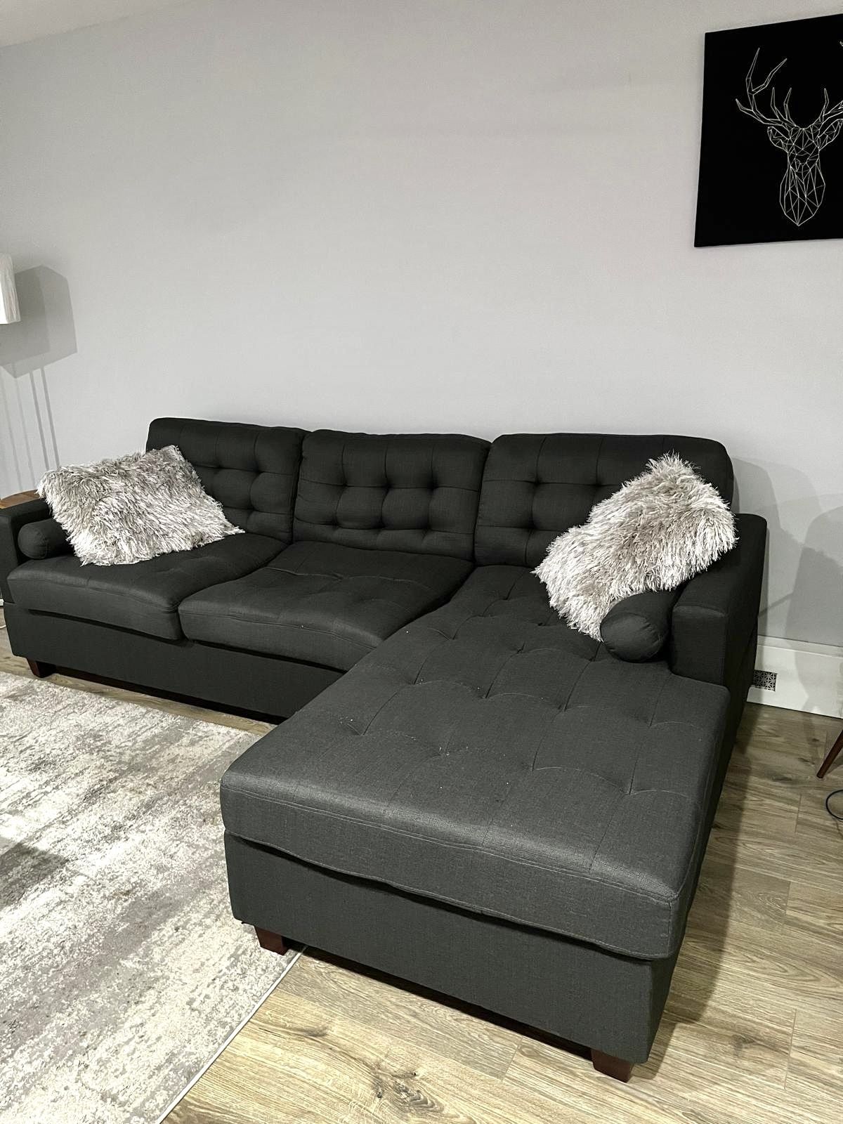 Sectional Couch