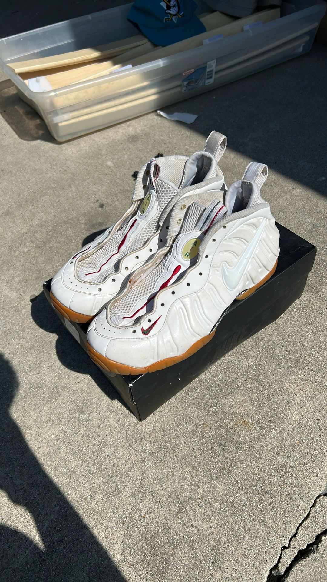 Gucci Air Foamposite Pro