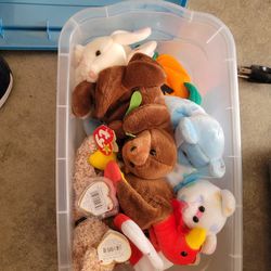 Beanie Babies Collection Early Ones