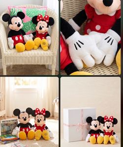 Mickey and Minie set