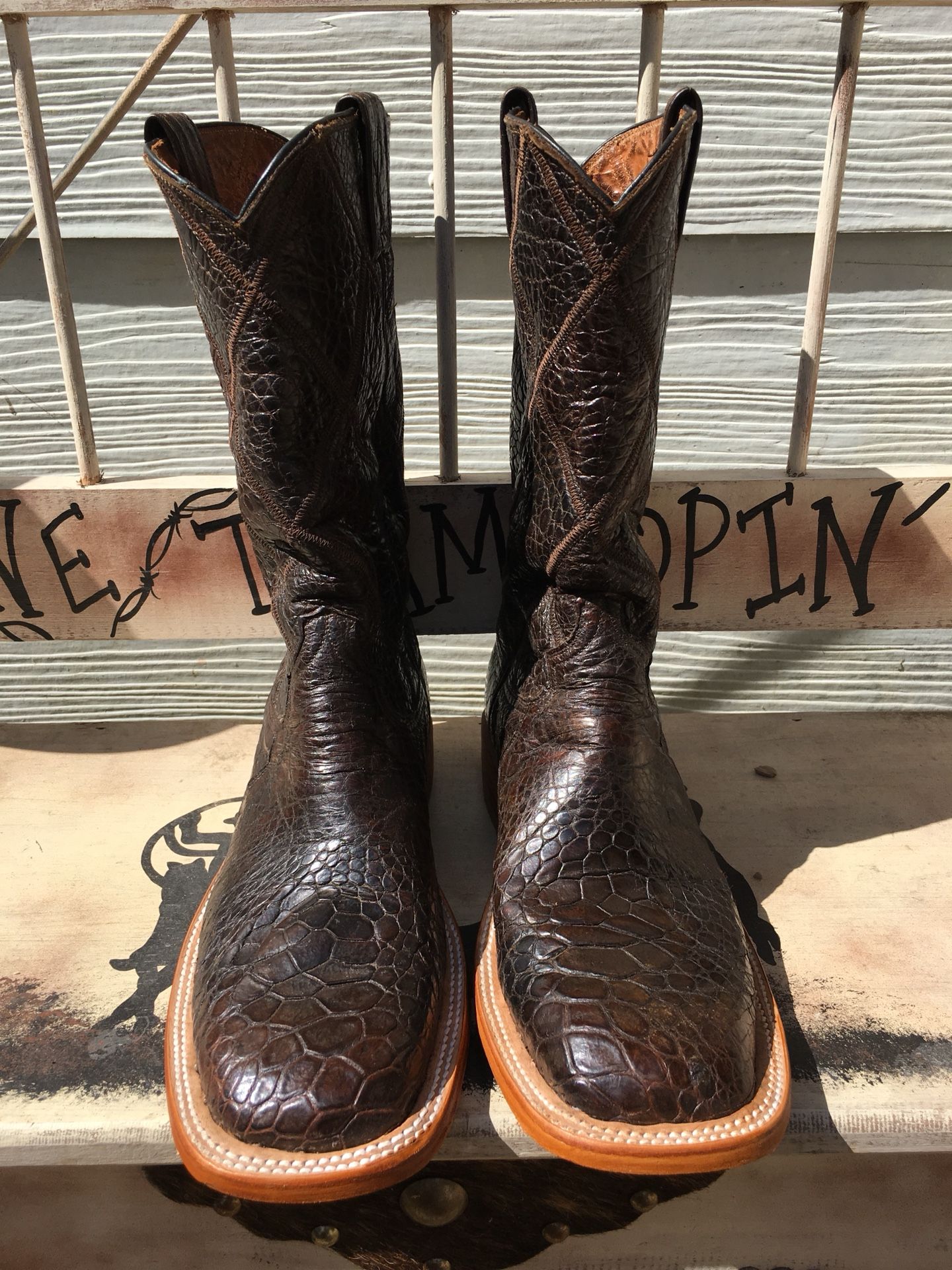 Justin Sea turtle boots