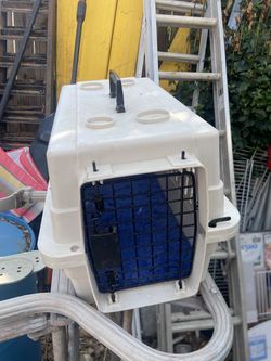 Pet transport trades welcome