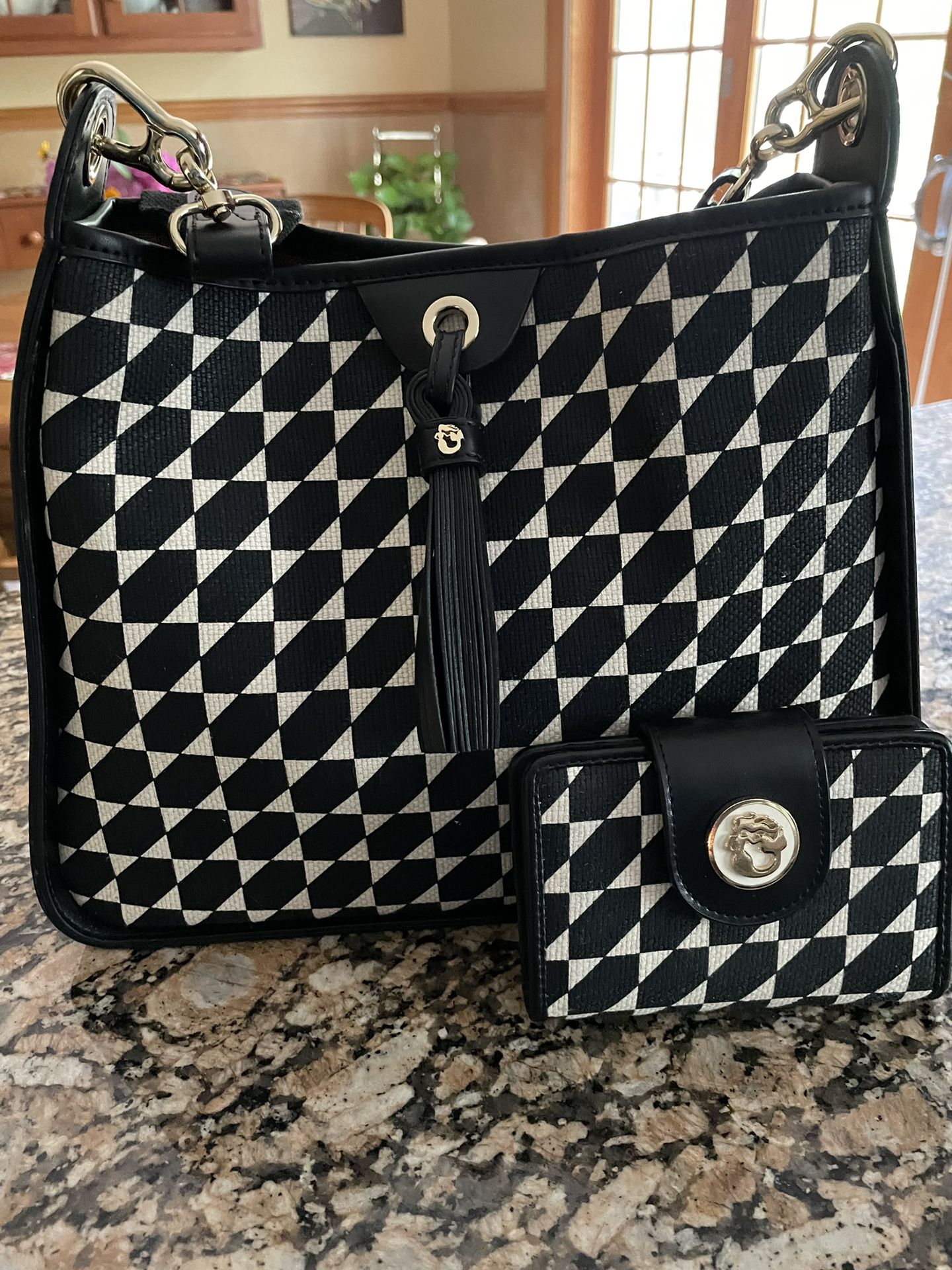 Spartina Handbag N Wallet