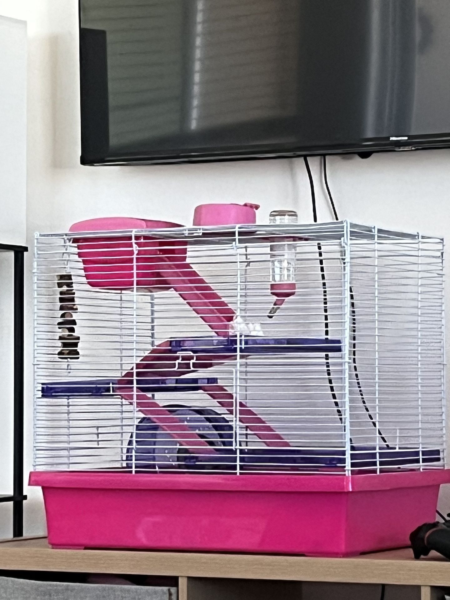 Hamster Cage