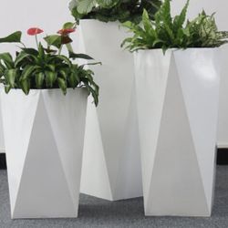 Flower Pot for Plants 