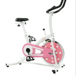 Sunny Health Indoor Cycling Bike
