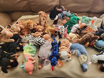 Beanie Baby Collection 
