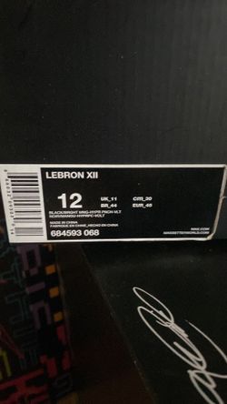 Lebron 12 “Data”