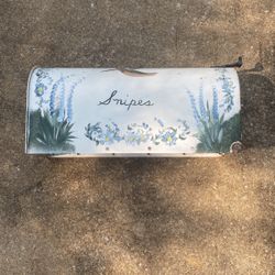 Arts and crafts hand-painted mailbox missing the front door