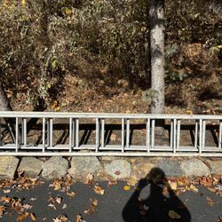 12ft Ladder