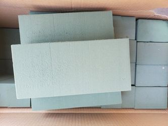 Floral Foam 1 Case