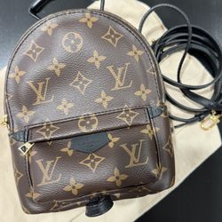 Louis Vuitton Palm Springs Mini