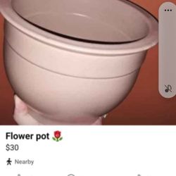 Flower Pot 