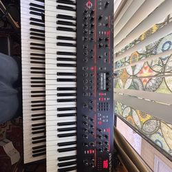 Dave Smith Instruments Prophet 12 61-Key 12-Voice Polyphonic Synthesizer
