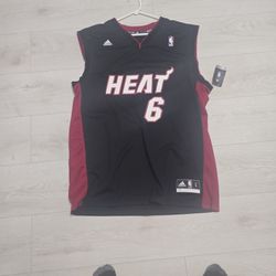 Lebron James Jersey
