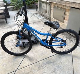 24” 1983 Girls’s Diamond Back Viper-Louis Vuitton Custom Colab  Mountain Bike