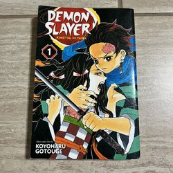 Demon Slayer Manga #1