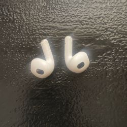 Apple Ear Buds  No Charger. 