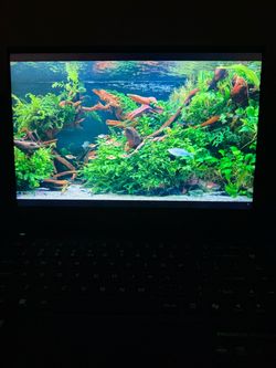 Predator Helios Neo 14 (last picture is the specs)