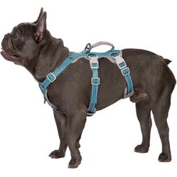 SmallDog Harness Teal