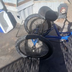 24 Inch Trike