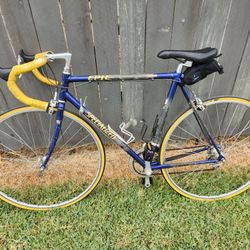 Specialized Carbon Fiber Road Bike $200 Obo  Was $350