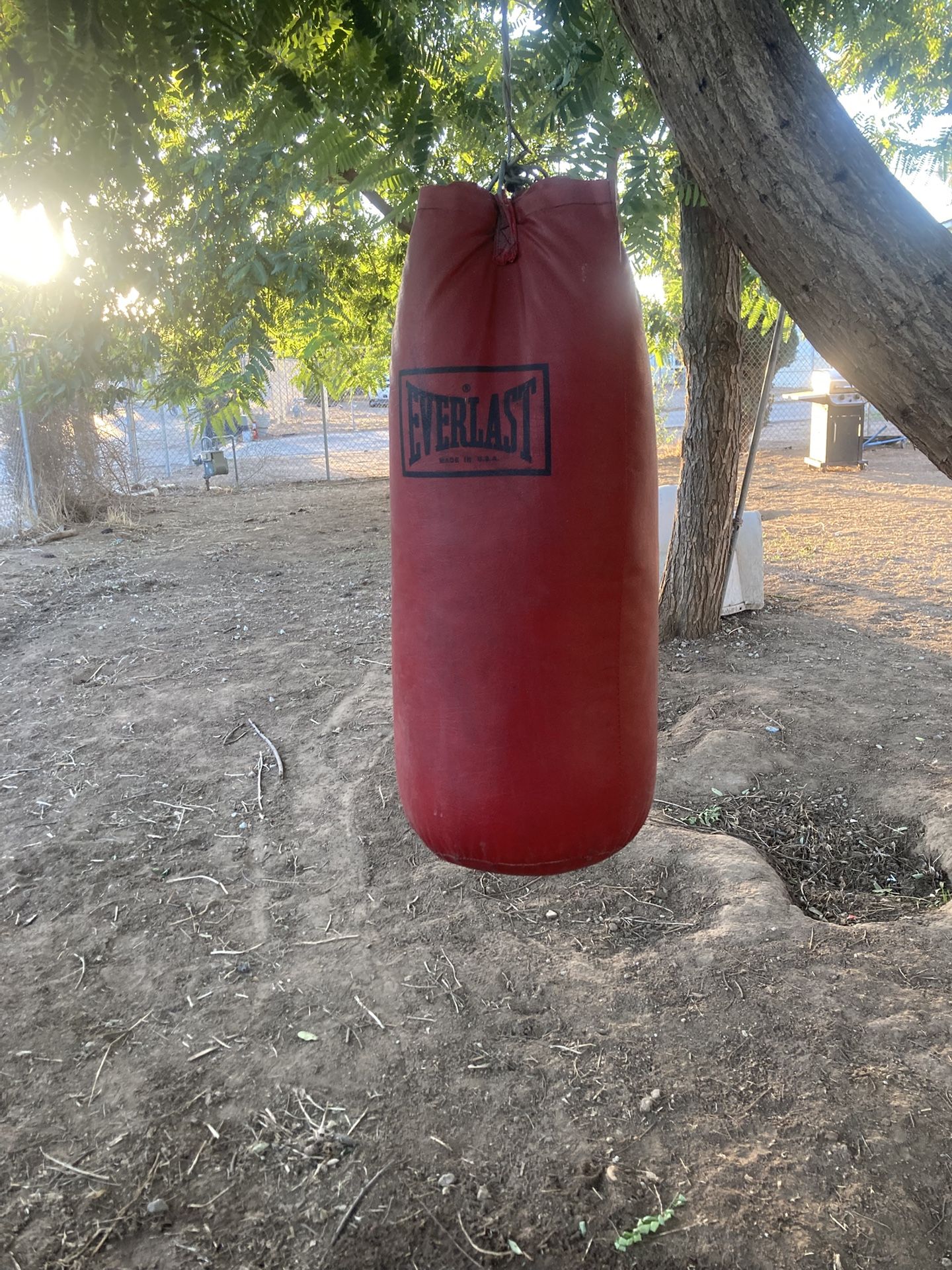 Everlast Punching Bag