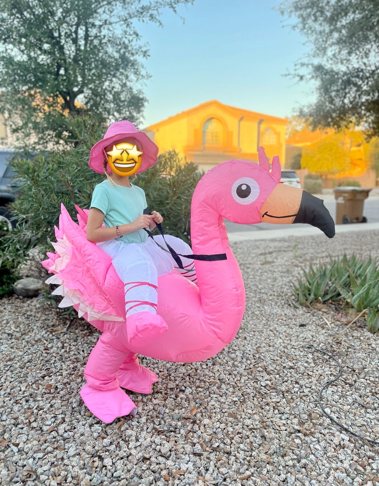 Flamingo Blow Up Costume- Kids