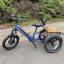 Adult Electric Trike!