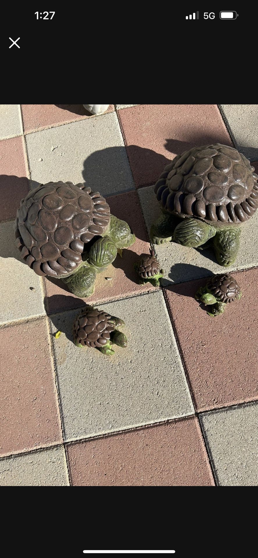 New Turtle Set Made Out Of Cement Perfect Gift