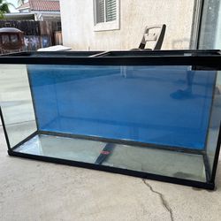 60 Gallon Aquarium Fish Tank